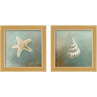 Framed 'Treasures from the Sea 2 Piece Framed Art Print Set' border=