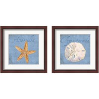 Framed 'Oceanum Shells Blue 2 Piece Framed Art Print Set' border=