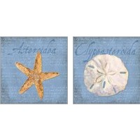 Framed 'Oceanum Shells Blue 2 Piece Art Print Set' border=