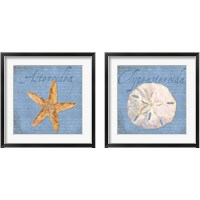 Framed 'Oceanum Shells Blue 2 Piece Framed Art Print Set' border=