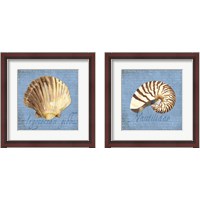 Framed 'Oceanum Shells Blue 2 Piece Framed Art Print Set' border=