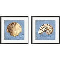 Framed 'Oceanum Shells Blue 2 Piece Framed Art Print Set' border=