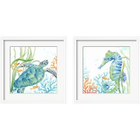 Framed Sea Life Serenade 2 Piece Framed Art Print Set