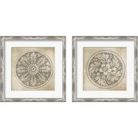 Framed 'Rosette Neutral 2 Piece Framed Art Print Set' border=