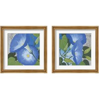 Framed 'Morning Glorious Silver 2 Piece Framed Art Print Set' border=