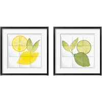 Framed 'Citrus Tile 2 Piece Framed Art Print Set' border=