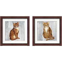 Framed 'Country Kitty on Wood 2 Piece Framed Art Print Set' border=