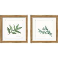 Framed 'Herbs 2 Piece Framed Art Print Set' border=