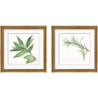 Framed 'Herbs 2 Piece Framed Art Print Set' border=