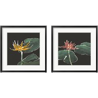 Framed 'Lily on Black  2 Piece Framed Art Print Set' border=