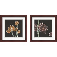 Framed 'Lotus on Black 2 Piece Framed Art Print Set' border=