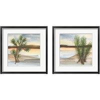 Framed 'Desert Floral 2 Piece Framed Art Print Set' border=