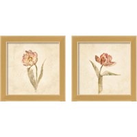 Framed 'Tulip on White 2 Piece Framed Art Print Set' border=