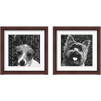 Framed 'BW Dog 2 Piece Framed Art Print Set' border=