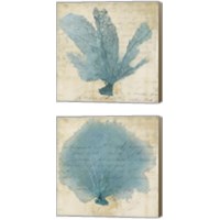 Framed 'Blue Coral 2 Piece Canvas Print Set' border=