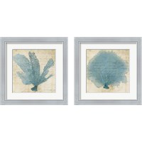 Framed 'Blue Coral 2 Piece Framed Art Print Set' border=