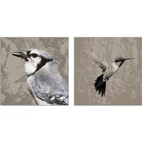 Framed 'Feathered  2 Piece Art Print Set' border=