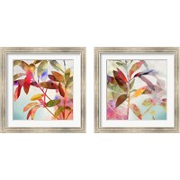 Framed 'Charlotte  2 Piece Framed Art Print Set' border=