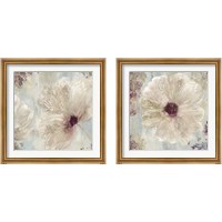 Framed 'Ornamental  2 Piece Framed Art Print Set' border=