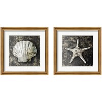 Framed 'Marble Shell  2 Piece Framed Art Print Set' border=