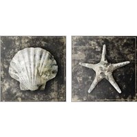 Framed 'Marble Shell  2 Piece Art Print Set' border=