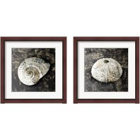 Framed 'Marble Shell  2 Piece Framed Art Print Set' border=