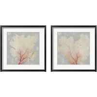 Framed 'Blush Coral 2 Piece Framed Art Print Set' border=