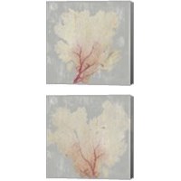 Framed 'Blush Coral 2 Piece Canvas Print Set' border=