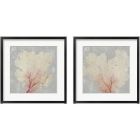 Framed 'Blush Coral 2 Piece Framed Art Print Set' border=