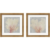 Framed 'Blush Coral 2 Piece Framed Art Print Set' border=
