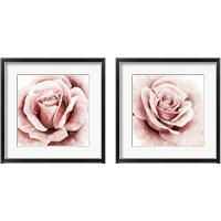 Framed 'Pink Rose 2 Piece Framed Art Print Set' border=