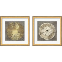 Framed 'Sand Dollar 2 Piece Framed Art Print Set' border=