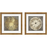 Framed 'Sand Dollar 2 Piece Framed Art Print Set' border=