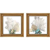 Framed 'Coral 2 Piece Framed Art Print Set' border=