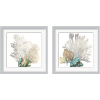 Framed 'Coral 2 Piece Framed Art Print Set' border=