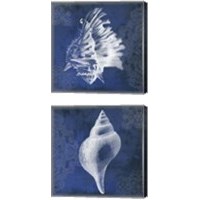 Framed 'Navy Shell 2 Piece Canvas Print Set' border=