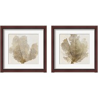 Framed 'Gold Coral 2 Piece Framed Art Print Set' border=