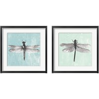 Framed 'Dragonfly  2 Piece Framed Art Print Set' border=