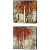 Framed 'Frontier  2 Piece Canvas Print Set' border=