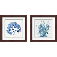 Framed 'Blue and Green Coral  2 Piece Framed Art Print Set' border=