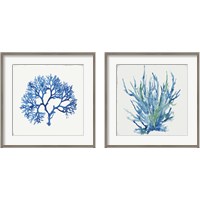 Framed 'Blue and Green Coral  2 Piece Framed Art Print Set' border=