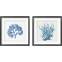 Framed 'Blue and Green Coral  2 Piece Framed Art Print Set' border=