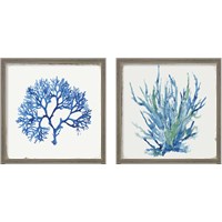 Framed 'Blue and Green Coral  2 Piece Framed Art Print Set' border=