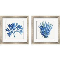 Framed 'Blue and Green Coral  2 Piece Framed Art Print Set' border=