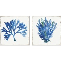 Framed 'Blue and Green Coral  2 Piece Art Print Set' border=