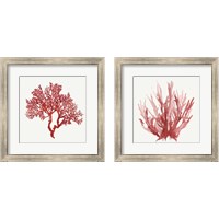 Framed 'Red Coral 2 Piece Framed Art Print Set' border=