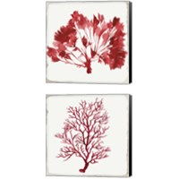 Framed 'Red Coral 2 Piece Canvas Print Set' border=