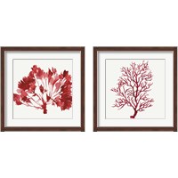 Framed 'Red Coral 2 Piece Framed Art Print Set' border=