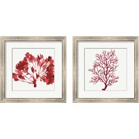 Framed 'Red Coral 2 Piece Framed Art Print Set' border=