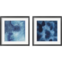 Framed 'Indigo Dye 2 Piece Framed Art Print Set' border=